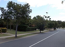 Karamea Avenue, Springfield, Queensland